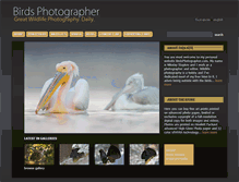 Tablet Screenshot of birdsphotographer.com
